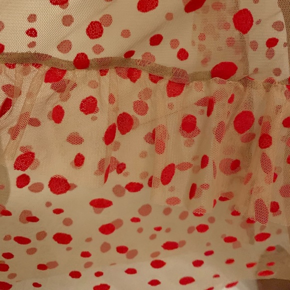 Zara Sheer Slip Dress (and Cover Up) - Picture 3 of 4